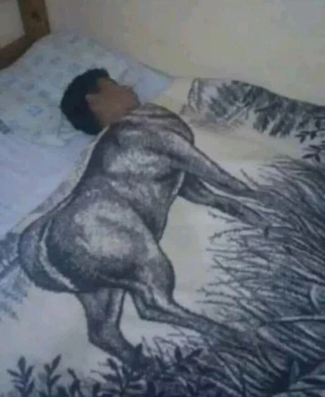 저주 받은 짤 모음_3.webp