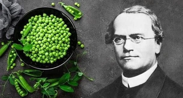 교배 시켜봐야지~_1.webp