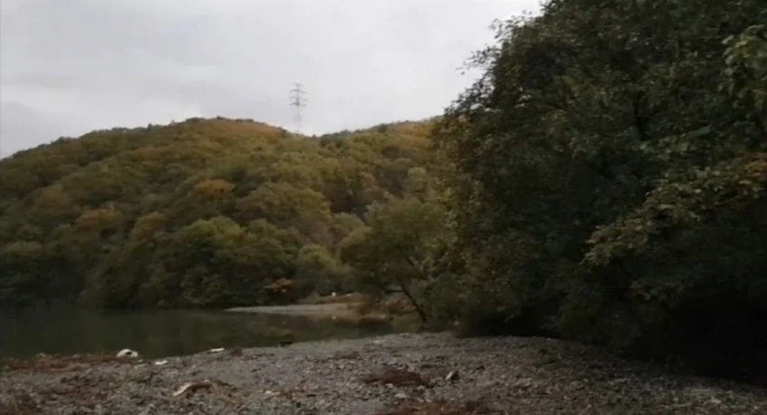 나약한 캠핑족과 낚시 광인.jpg_3.webp