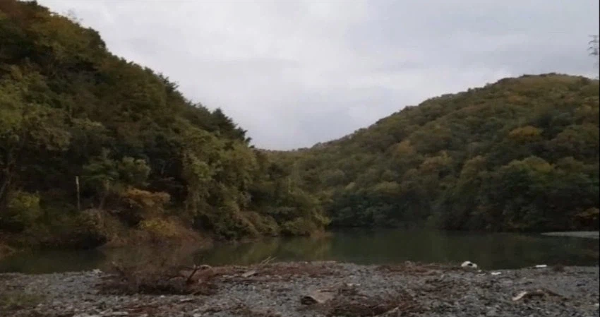 나약한 캠핑족과 낚시 광인.jpg_4.webp