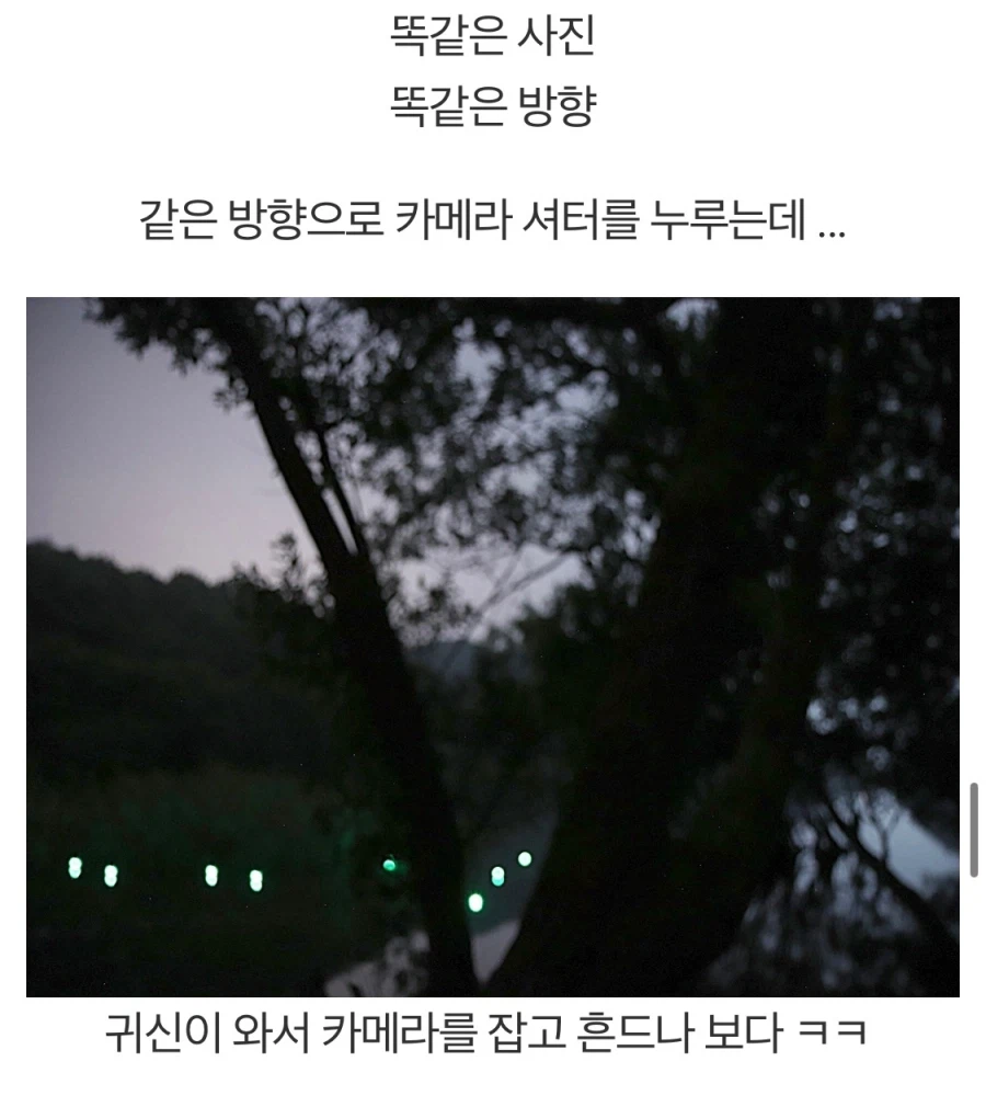 나약한 캠핑족과 낚시 광인.jpg_9.webp