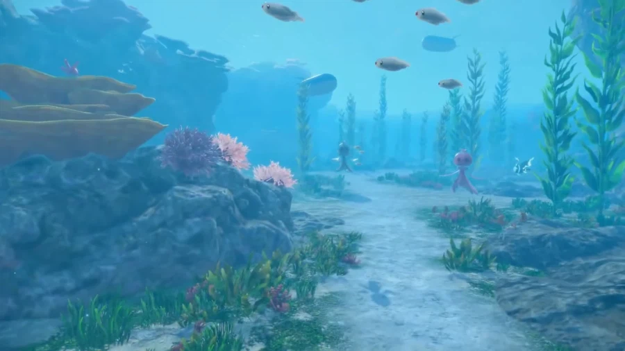 포켓몬 방송요약_5.webp