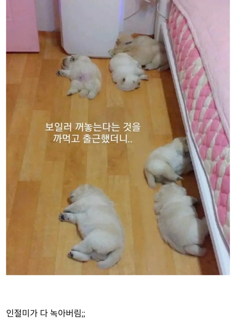 보일러 까먹고 안 꺼두고 출근했더니..._1.webp