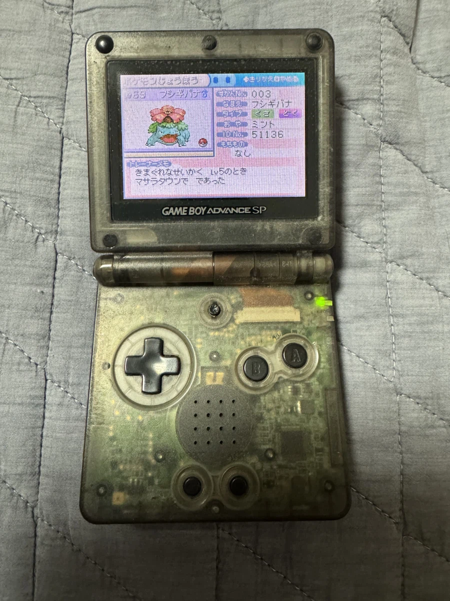 다들 파레리그 샀다고 자랑하네_2.webp