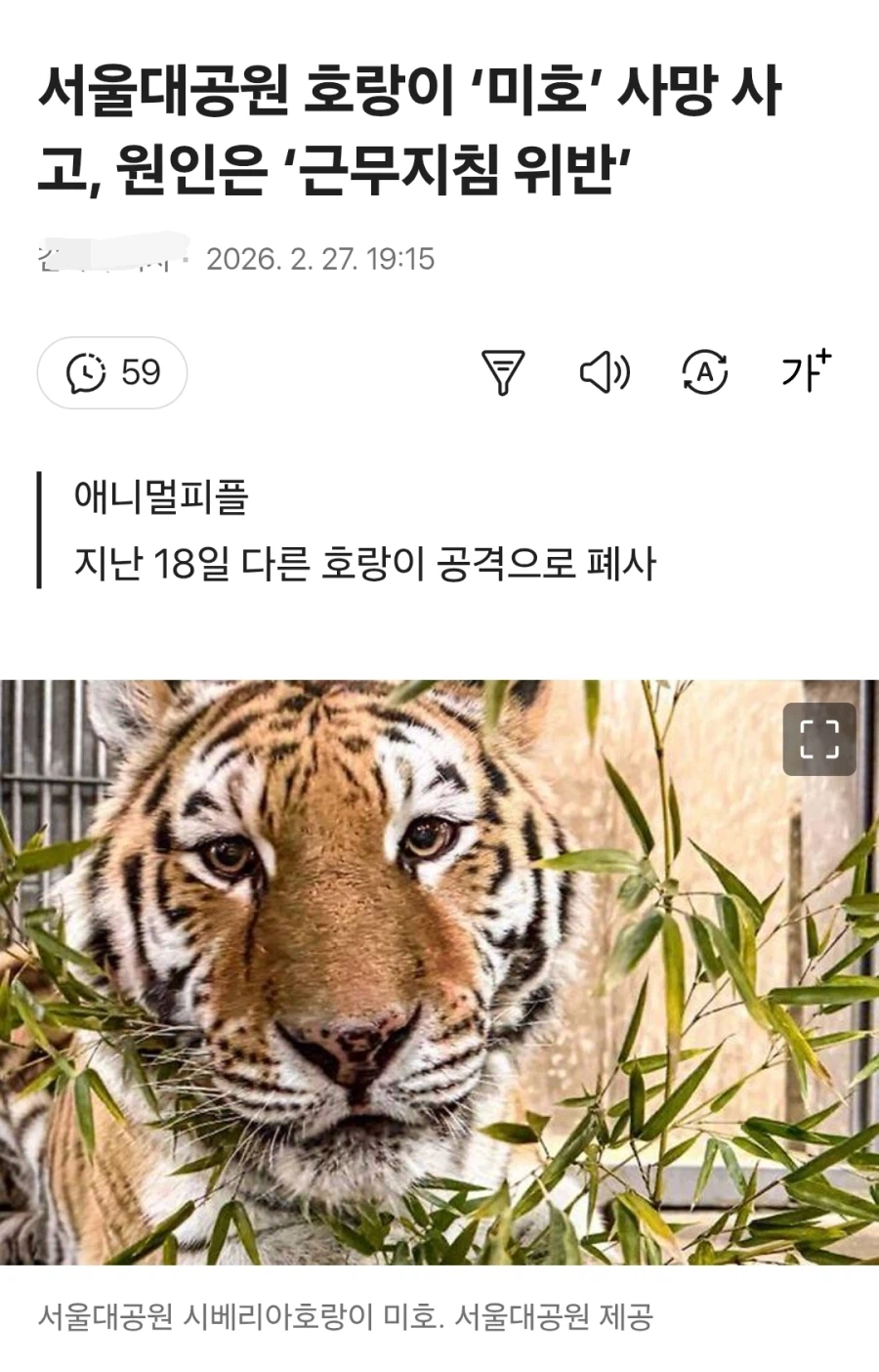 서울대공원 호랑이 미호 사망_1.webp