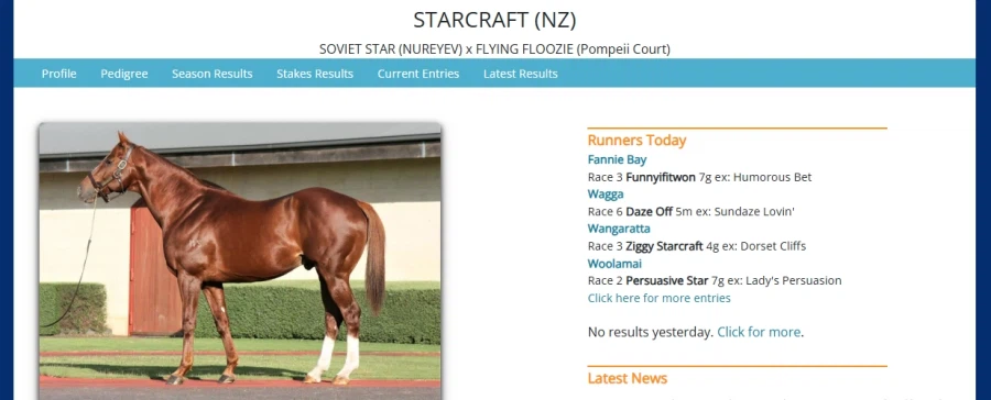 경마) 한국에서 나올만 한데 나올수가 없는 마명_2.webp