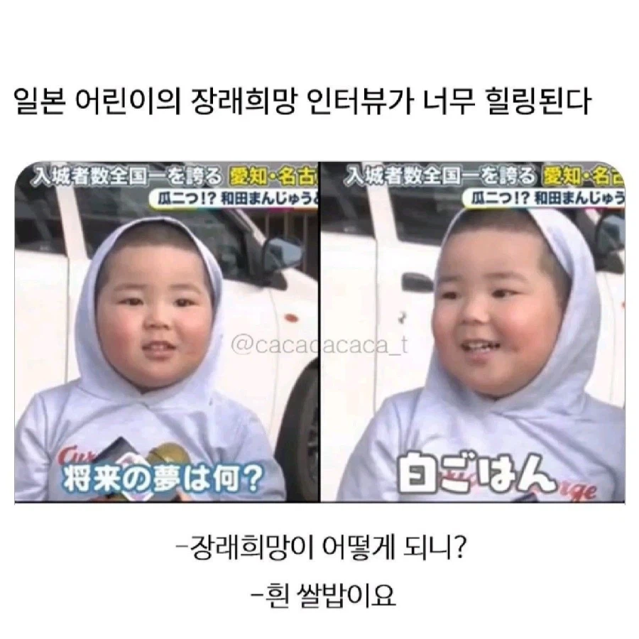 애기의 장래희망_1.webp