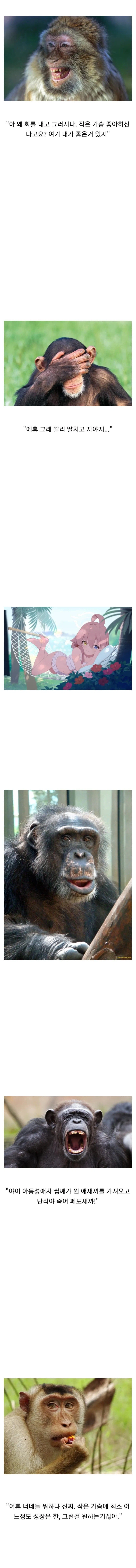 로리콘의 눈물_2.webp