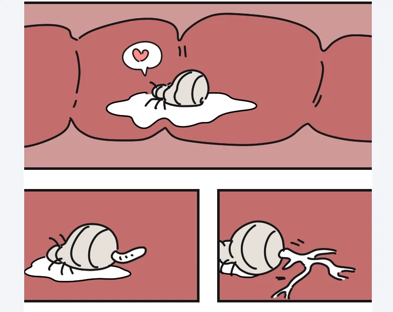 룸메가 서큐버스같은 소리를 한다.jpg_6.webp