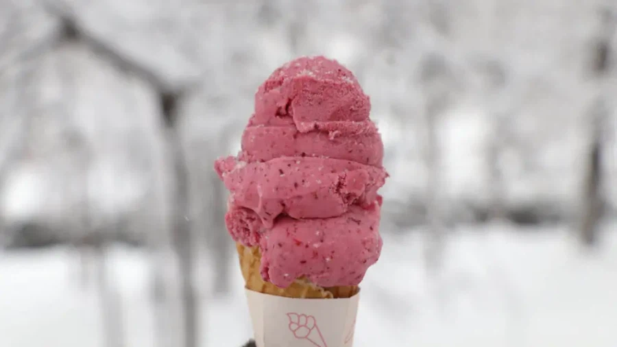 아이슬란드에서 데이트하기 국룰.jpg_13.webp