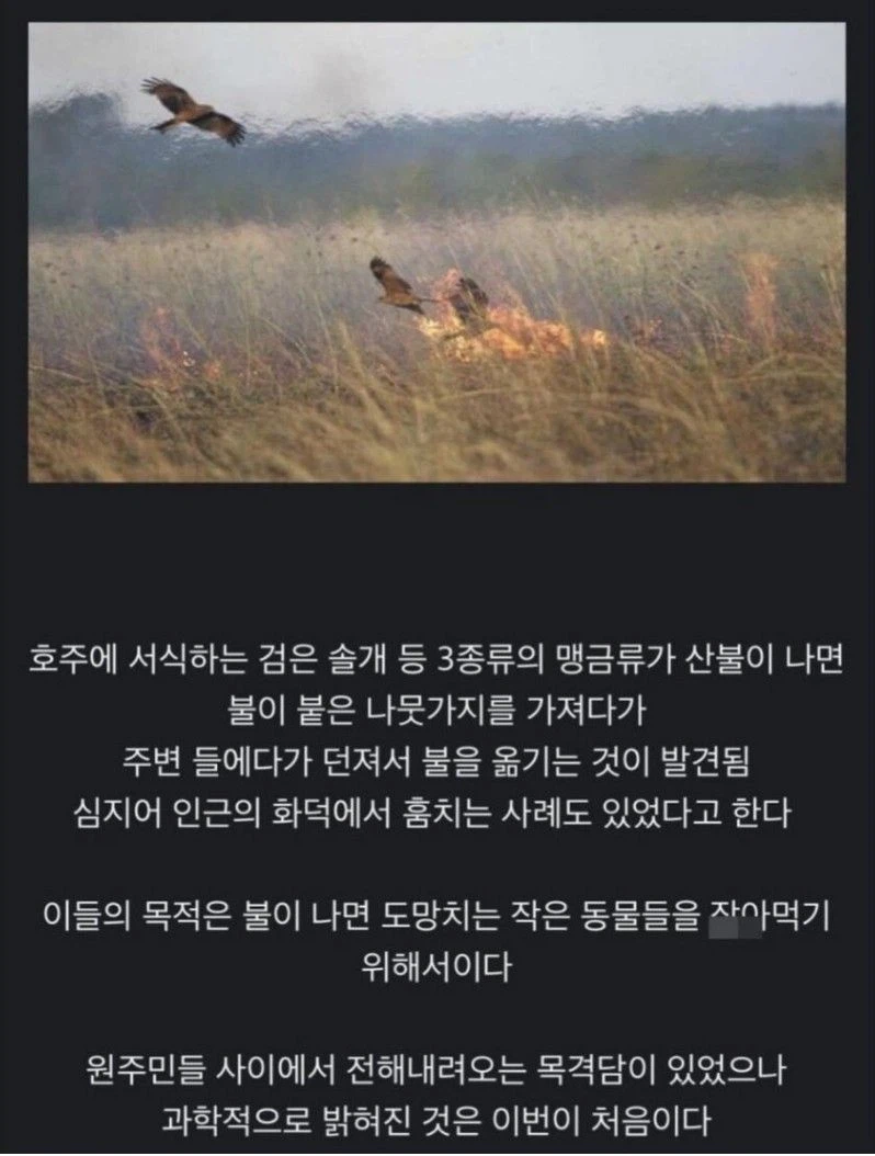 방화범 레전드_1.webp