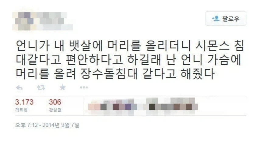 상처 뿐인 자매 싸움.jpg_1.webp