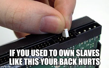 이런 슬레이브를 가진 적이 있다면 이제 슬슬 허리가 아플 때다.webp_1.webp