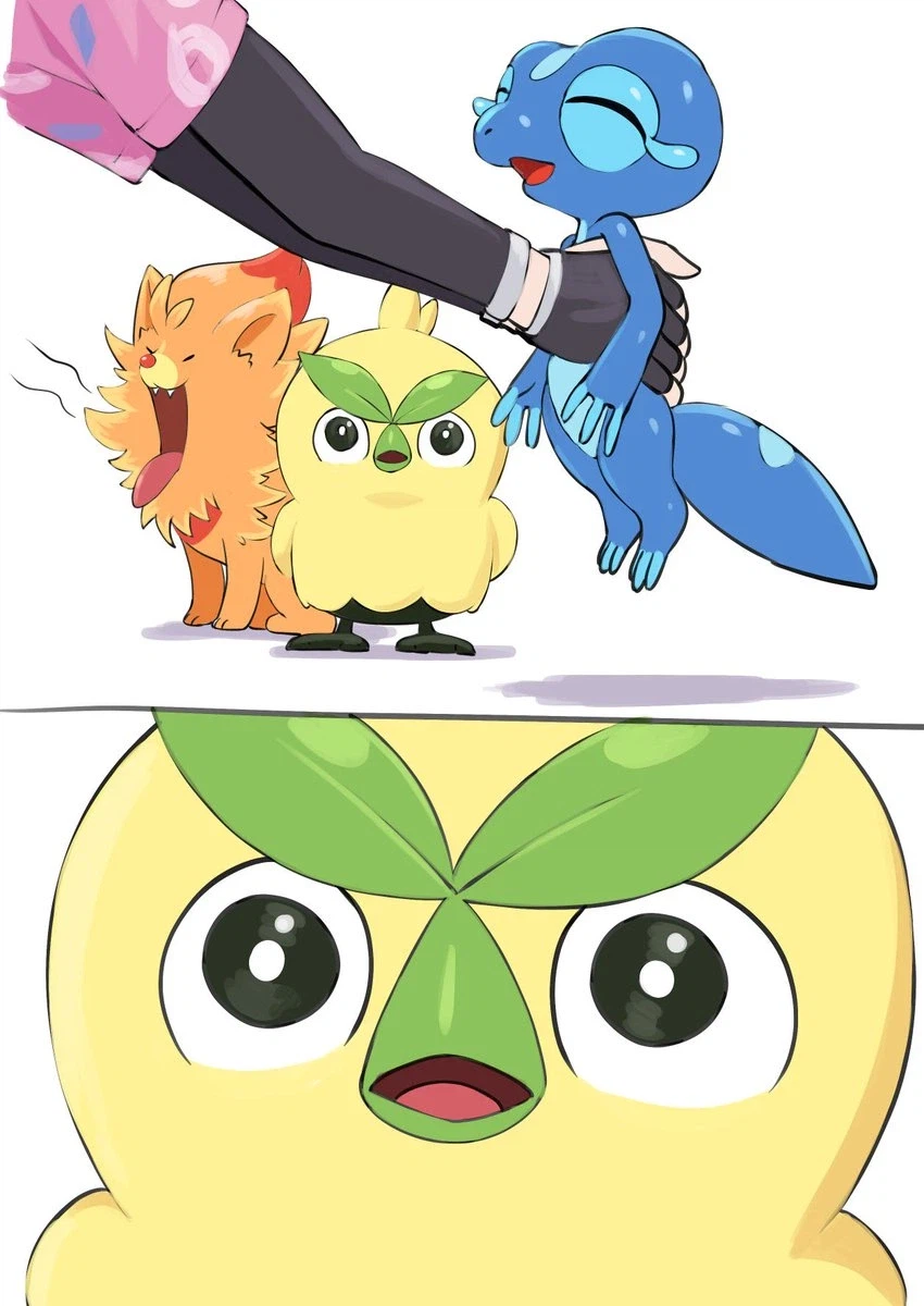 포켓몬 스타팅을 골랐더니_1.webp