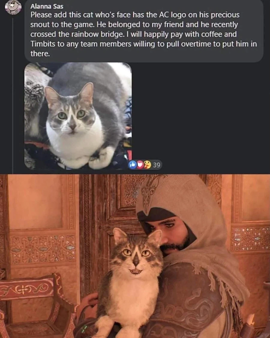 ??? : 제 고양이를 게임에 넣어 주세요_1.webp