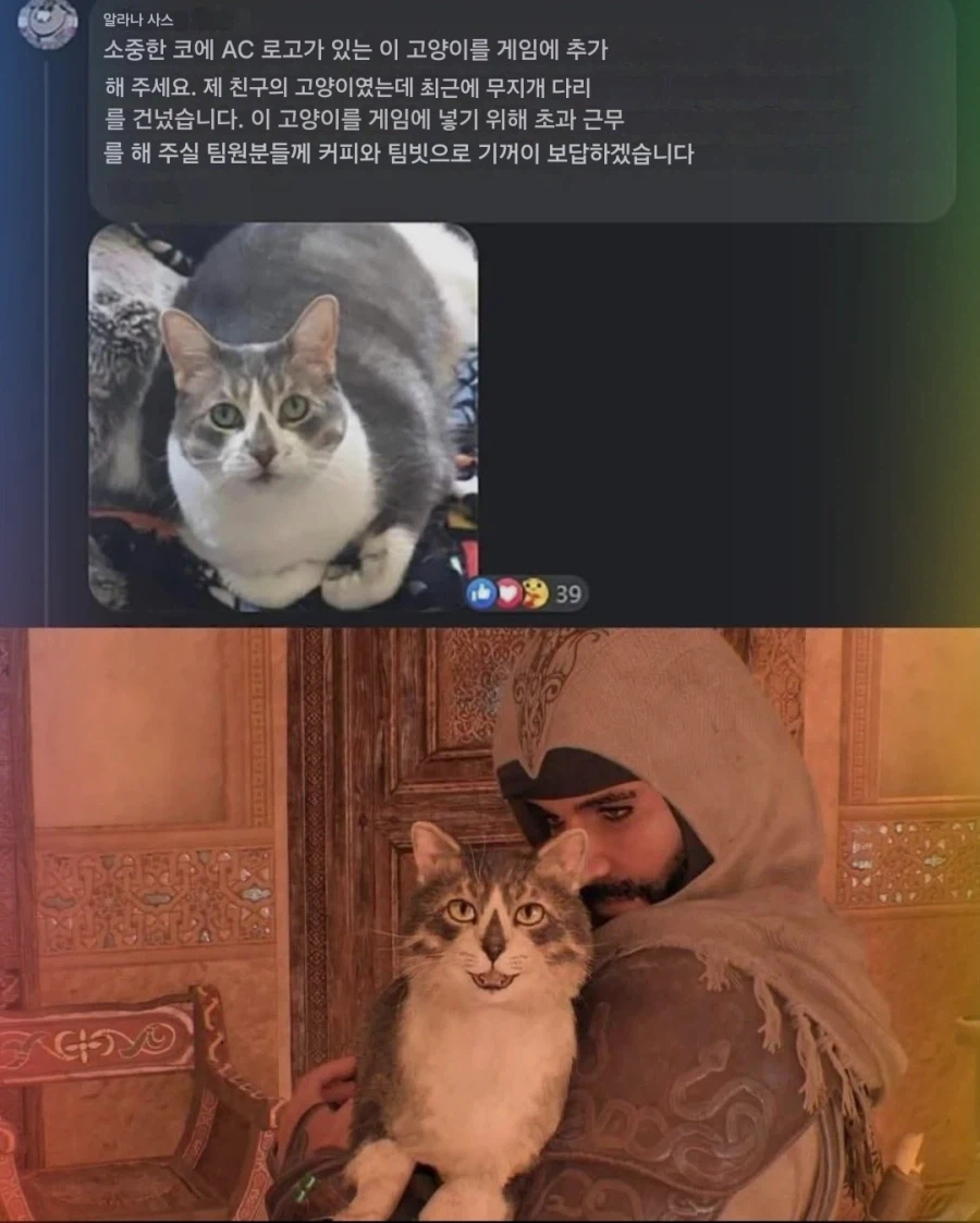 ??? : 제 고양이를 게임에 넣어 주세요_2.webp