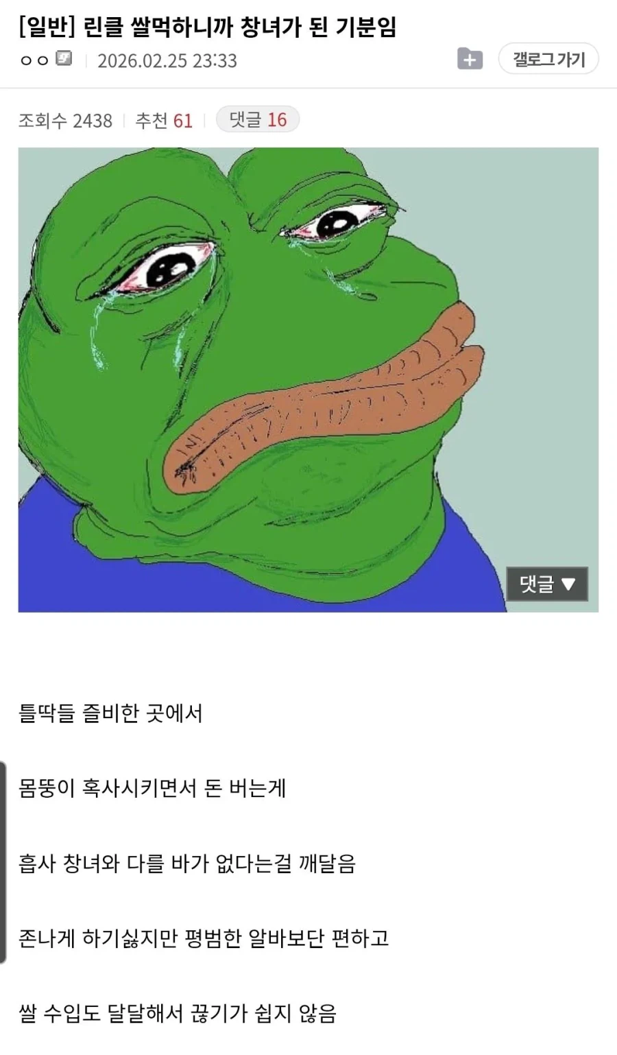 ㅊㄴ가 되버린 리니지 쌀먹유저 ㄷ_1.webp