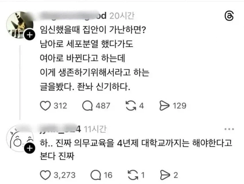 임신했을 때 집안이 가난하면 뱃속 아이가 남자에서 여자로 바뀐대 ㅠㅠ_1.webp