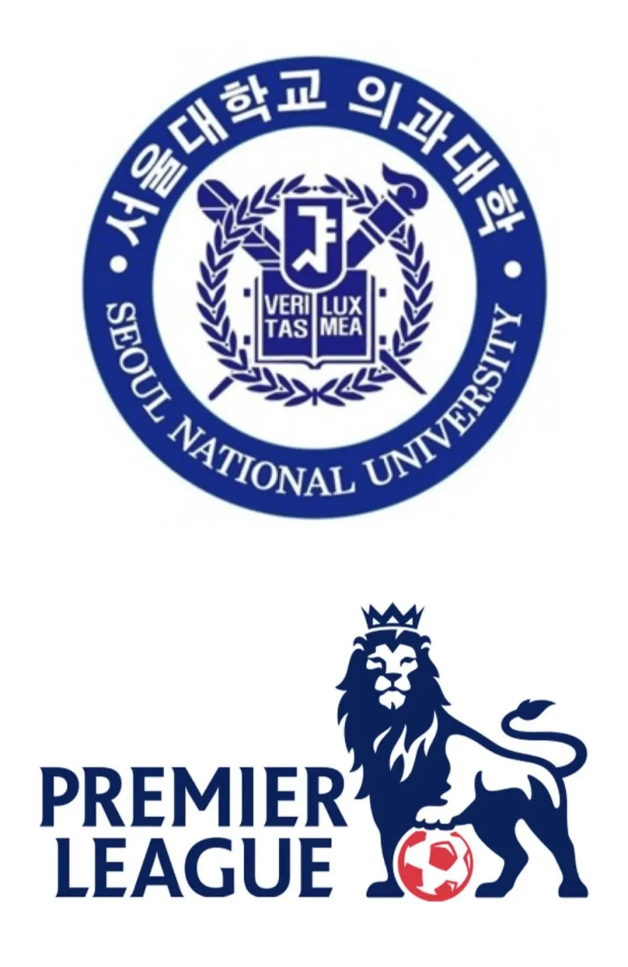 서울대 의대 졸업 vs epl 1경기 출전_2.webp