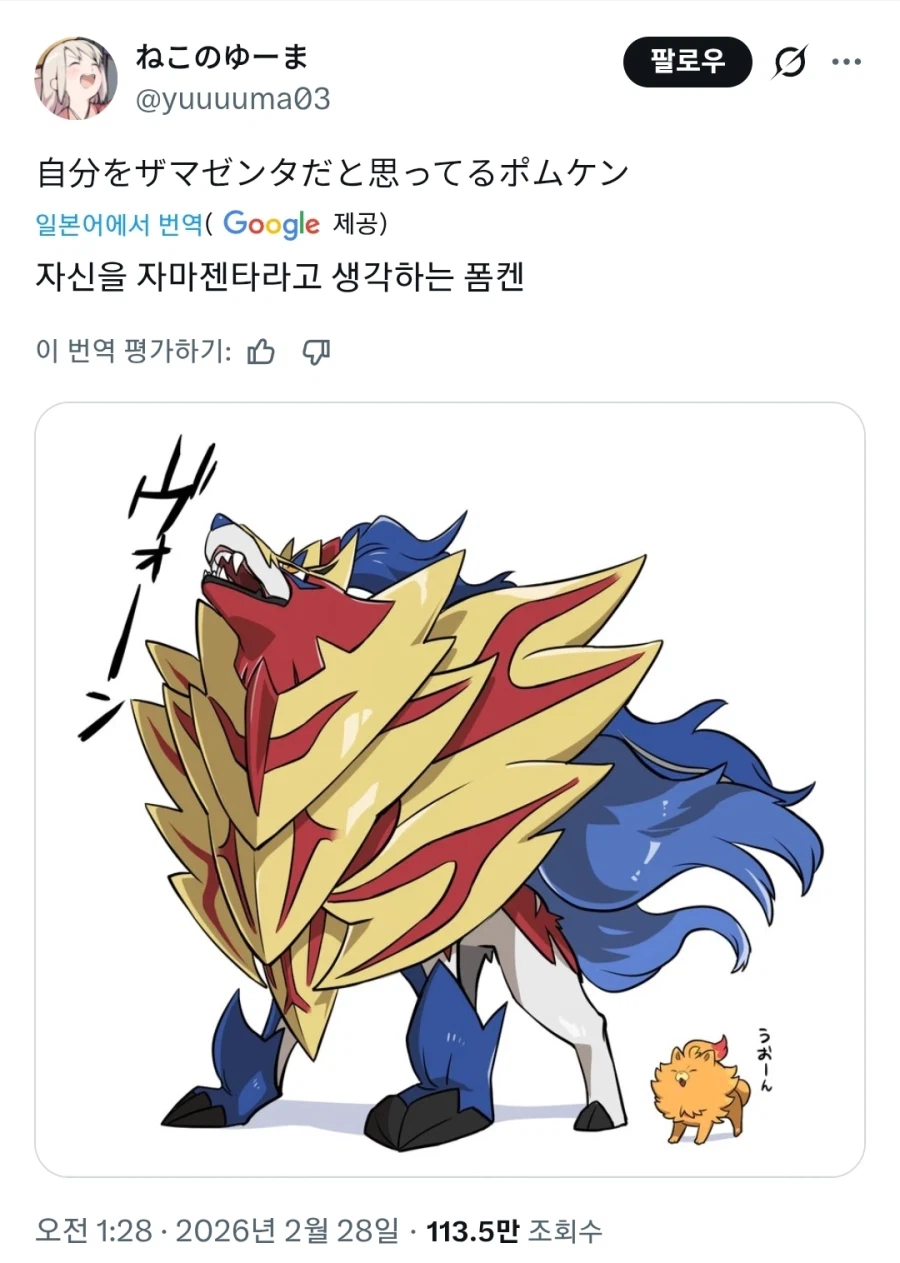 포켓몬 신규 불 스타팅, 하찮게 귀엽구나_1.webp