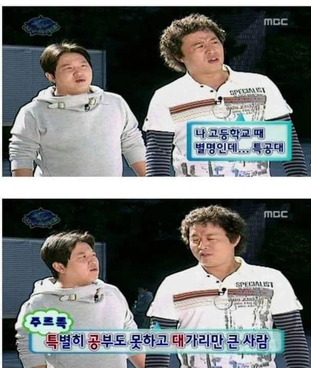 박명수가 극찬한 N행시들_3.webp