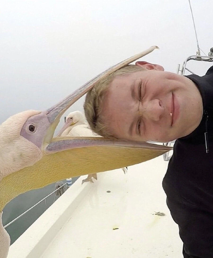 뭐든지 최선을 다하는 새.jpg_6.webp