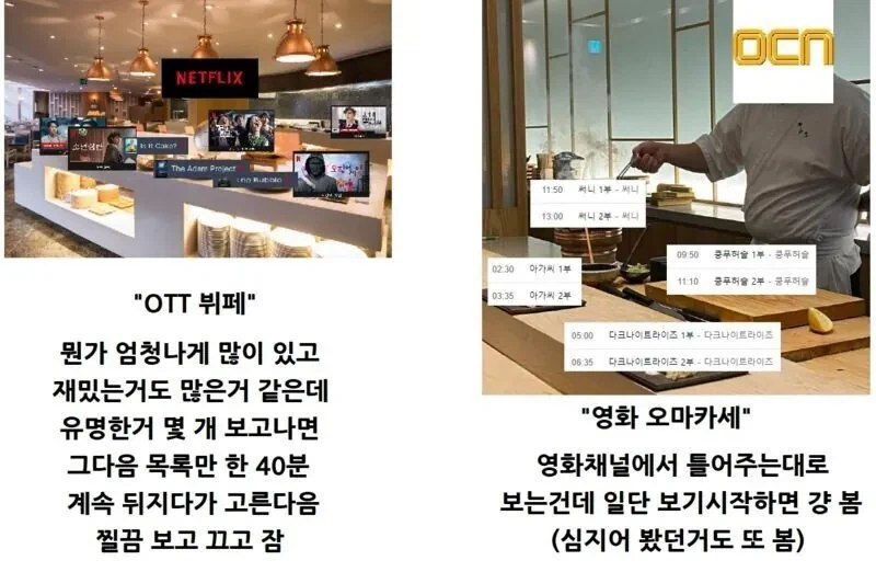 넷플릭스와 OCN의 차이.jpg_1.webp