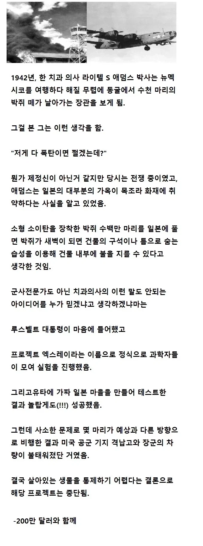 박쥐 폭탄 개발 이야기_1.webp