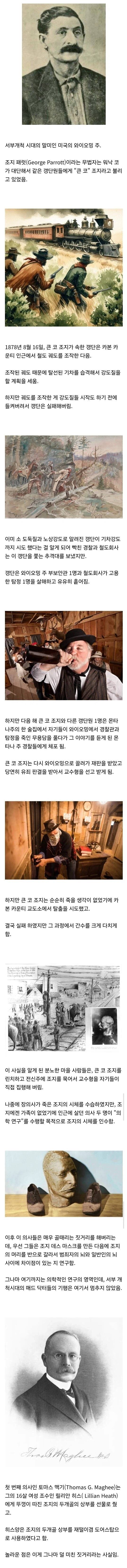 약혐) 이름과 함께 가죽을 남긴 서부시대 무법자의 이야기.txt_1.webp