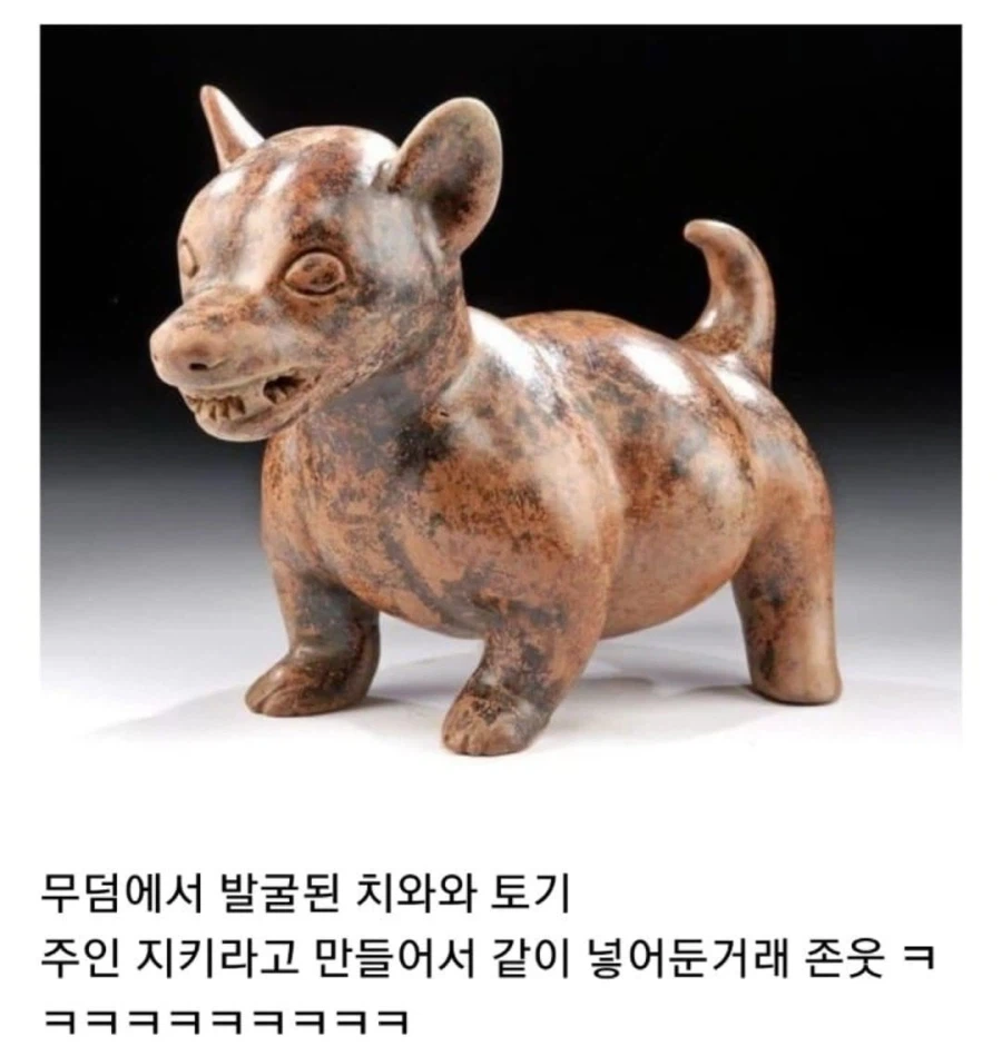 고대부터 성질 더러운걸로 유명했던 치와와_1.webp