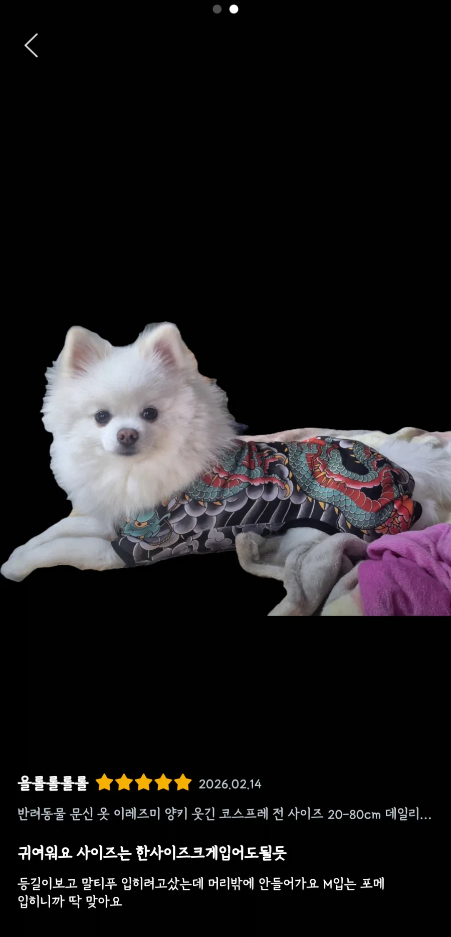 강아지 유치원에서 초반 기강잡는 방법.jpg_3.webp