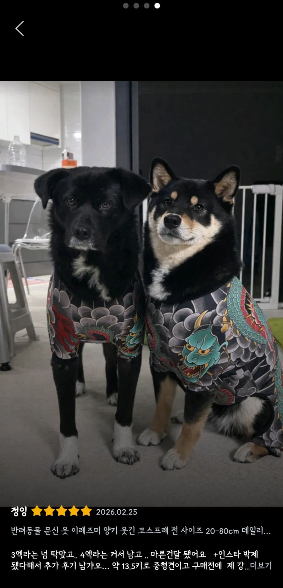 강아지 유치원에서 초반 기강잡는 방법.jpg_5.webp