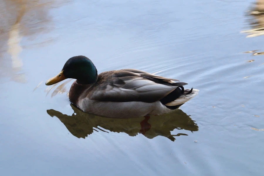 혼란한 틈을 타 동네산책_8.webp