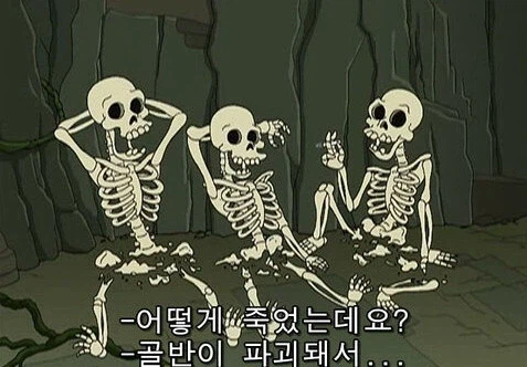 많이 잘못알고있는 짤_1.webp