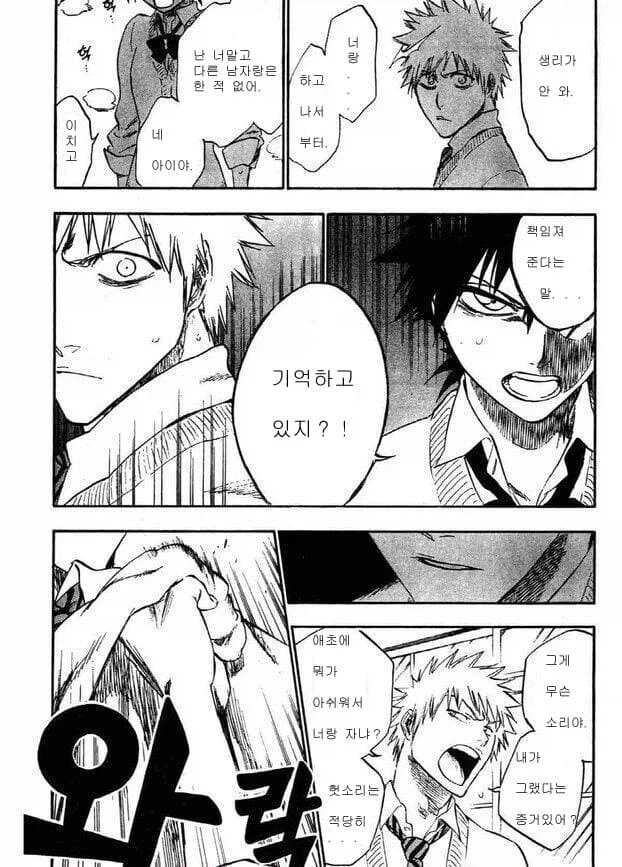 호로화 이치고_2.webp