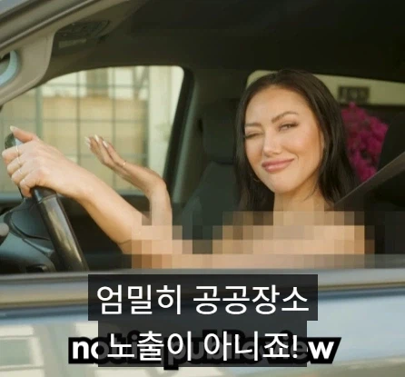 의외로 불법이 아닌것.jpg_7.webp