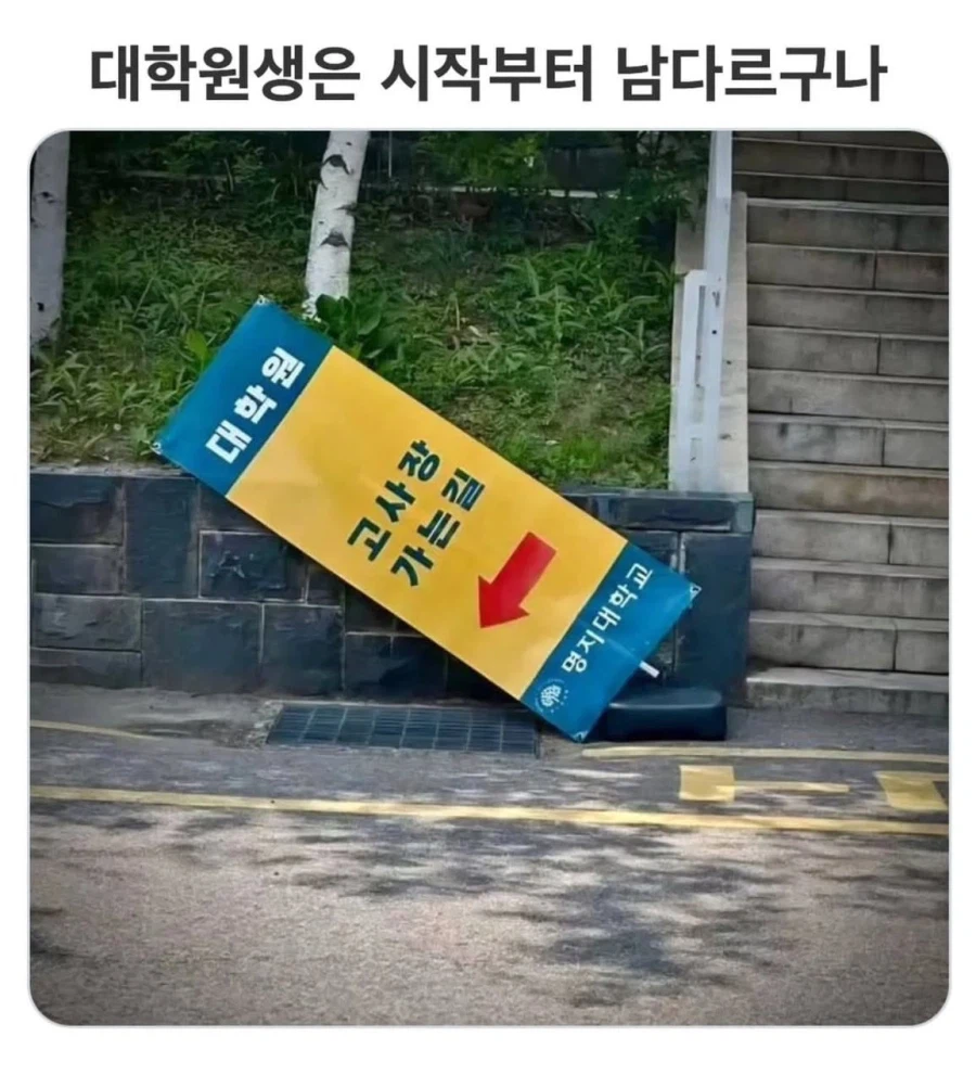 대학원 생활이 지옥이라는 이유_1.webp