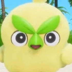 포켓몬 : 까짓거 한 번 해보죠_2.webp