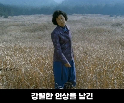 김혜자 선생님을 위한 봉준호 감독의 배려.jpg_2.webp