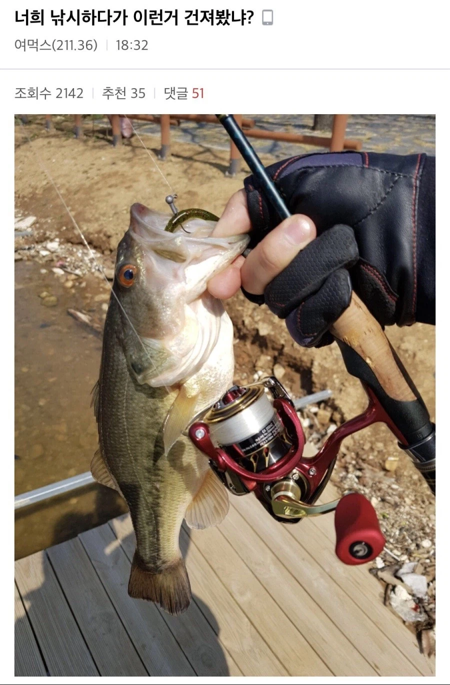 너희 낚시하다가 이런거 건져봤냐?.jpg_1.webp