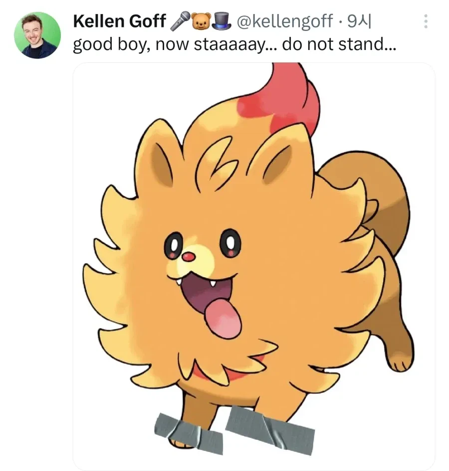 신작 포켓몬 공개 이후 트레이너들의 소원 甲.jpg_2.webp