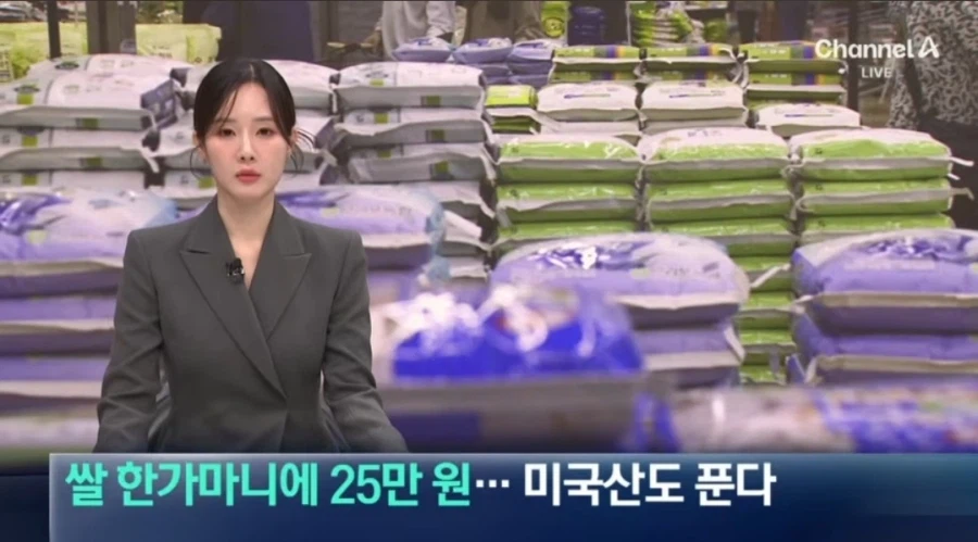 일본 꼴 날까봐 노심초사한다는 한국 쌀시장_1.webp