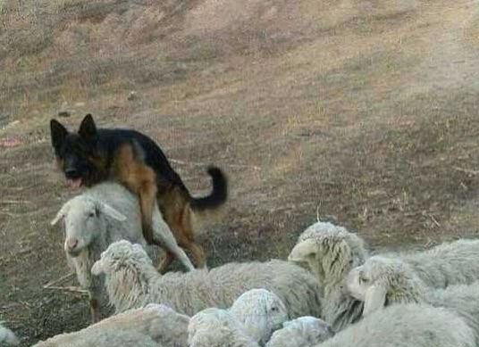 양과 질을 가져서 개이득인 사진._1.jpg