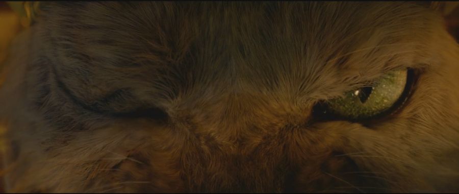 몬헌 영화 좀 너무한다2_10.jpg