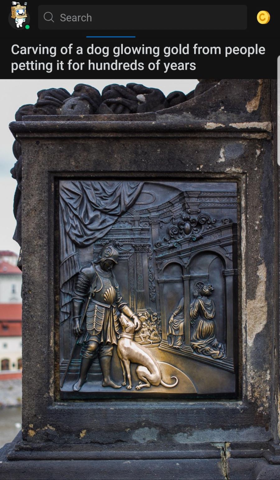 너무 많이 쓰다듬어서 금빛이 된_1.jpg