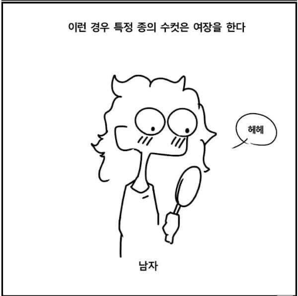 냉혹한 여장의 세계_4.jpeg