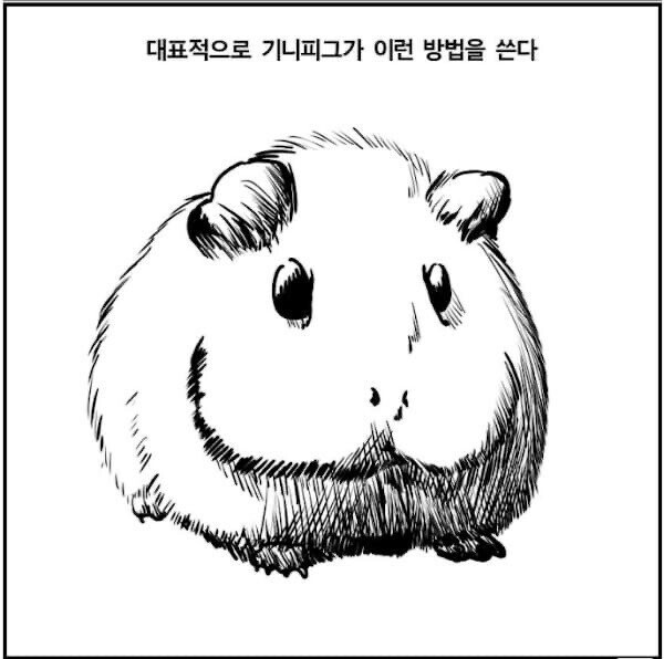 냉혹한 여장의 세계_8.jpeg