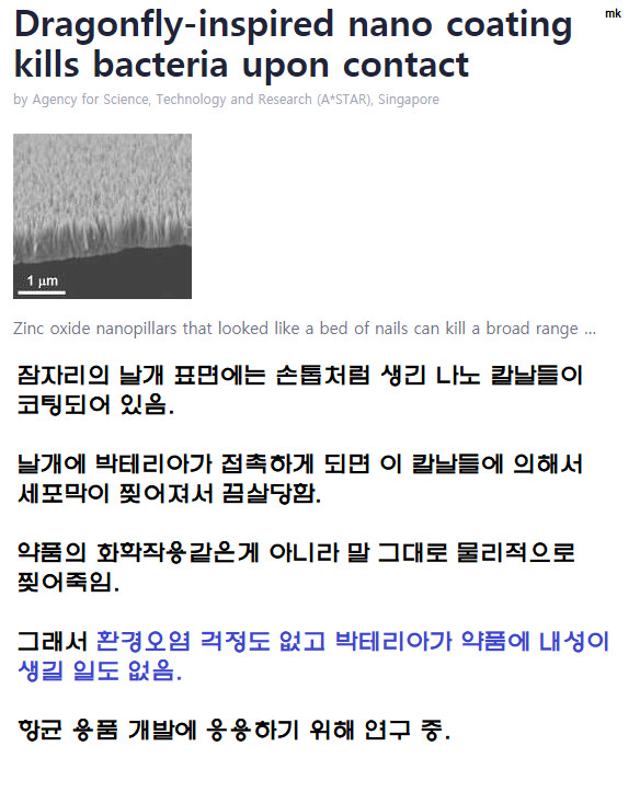 잠자리 날개가 거짓말처럼 신기한 이유_2.png