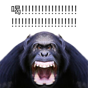 주유소들은 완전히 멘탈이 나가고_3.png