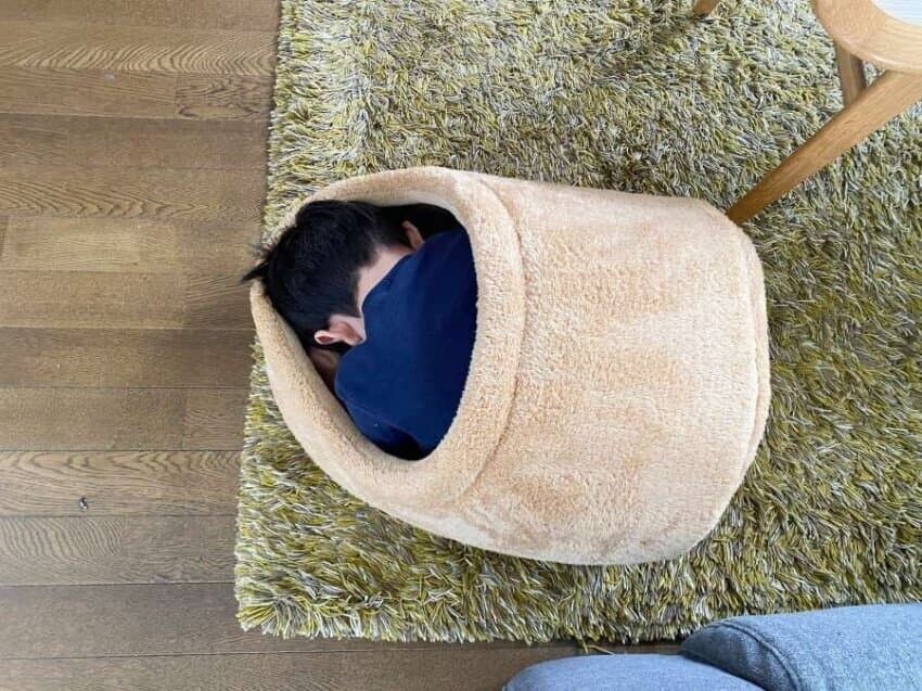 집을 빼앗겨 망연자실한 고양이_1.jpg